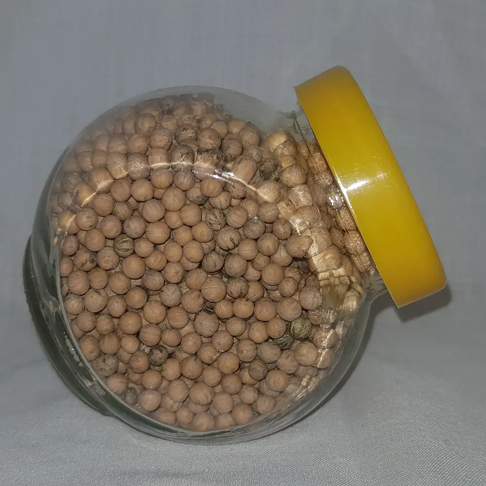 Common dogwood seeds (Cornus sanguinea)