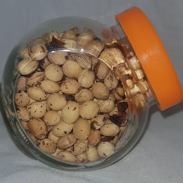 Wild cherry seeds (Prunus avium)