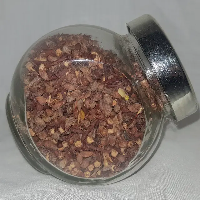 Wild service tree seeds (Sorbus torminalis)