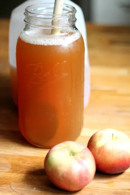 100% wild apple vinegar (Malus sylvestris)